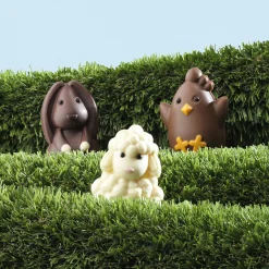 Chocolate Pen Pals<Hotel Chocolat Outlet