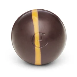 Dark Chocolate Ginger Truffles Selector<Hotel Chocolat Hot