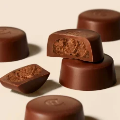 Gianduja Chocolate Selector<Hotel Chocolat