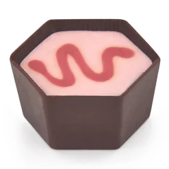 Triple Cranberry Chocolate Selector<Hotel Chocolat Online
